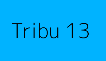 Tribu 13